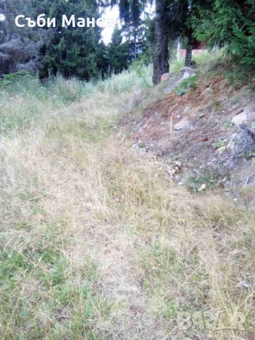 Продавам парцел на Пампорово , снимка 6 - Земеделска земя - 35303321