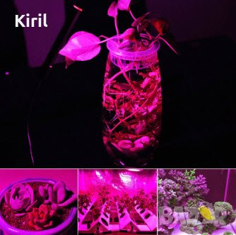  Растеж на растенията LED плочка за монтаж фито лампа 10 вата 20 вата 30 вата 50 вата 220 волта, снимка 17 - Оранжерии - 31573963