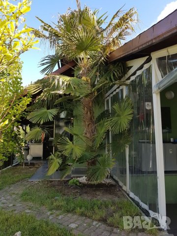 Нощувки в Апартамент в Ахелой свободен апартамент след 18.08.25г.  , снимка 9 - Почивки на море - 29363994