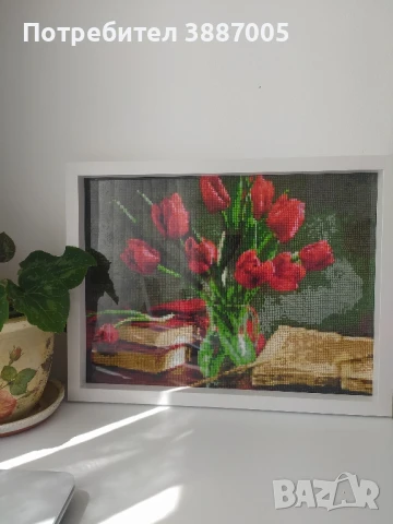 Диамантен гоблен с рамка 30-40