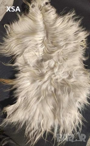 Естествени кожи от коза, снимка 4 - Други ценни предмети - 52265860