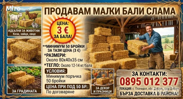 Малки Бали слама