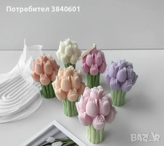Силиконови Молдове