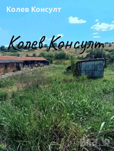 Продава животновъдна ферма в село Голямо Асеново, снимка 4 - Парцели - 49352738
