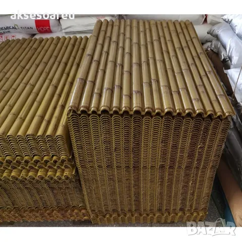 Нови семена бамбук Moso Bambo декоративни растения за дома бамбуков разсад за украса и декорация, снимка 10 - Сортови семена и луковици - 48995335