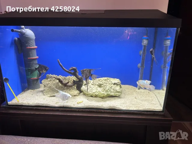 Аквариум Aquael 105 литра, снимка 1