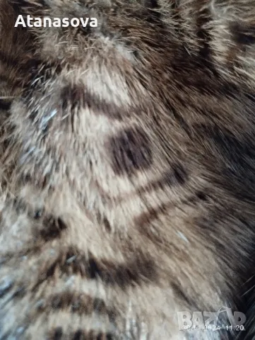 Продавам кожено макси палто с естествен къс косъм