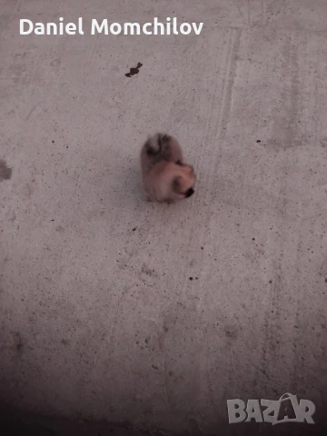 Mini i Po.eran, снимка 1