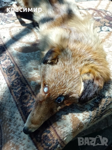 Кожена яка от лисица, снимка 3 - Шалове - 54312760