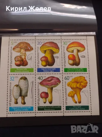 Пощенски марки чиста комплектна серия ГЪБИ поща НРБЪЛГАРИЯ за КОЛЕКЦИОНЕРИ 46564, снимка 8 - Филателия - 47322496