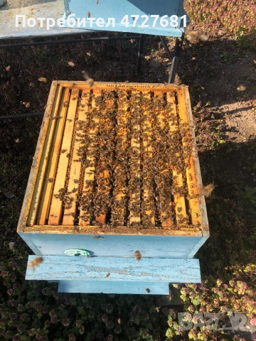 Пчелни кошери 