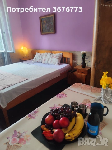Стая под наем, София , снимка 4 - Стаи под наем - 54258364