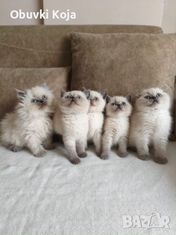 Не са красиви просто са уникални свикнали с малко дете