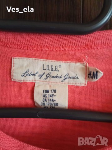Спортна тениска цвят диня LOGG за мъж/момче , снимка 4 - Тениски - 30019435