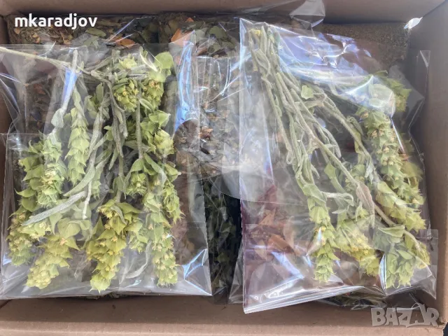 Чай, Билки, Подправки, плодове еко био, снимка 8 - Домашни продукти - 46647684