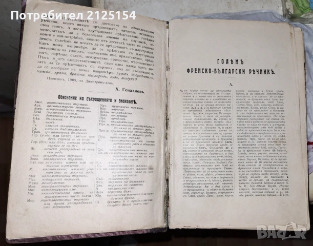 Голям френско-български речник- Изд. Хр. Г. Данов,1907 г., снимка 1