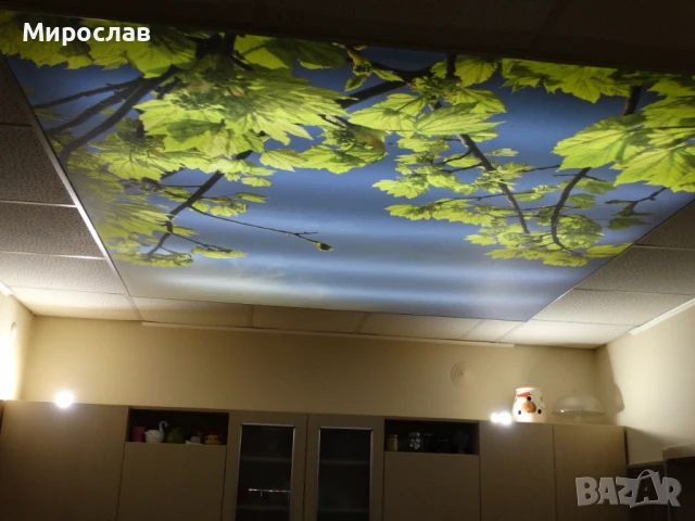 Електро услуги и електроника, снимка 12 - Електро услуги - 50925253