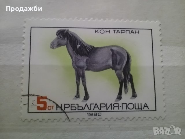 Колекция български пощенски марки с коне 1980 г., снимка 2 - Филателия - 40066681