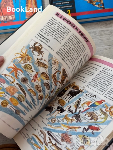 Енциклопедии Larousse| История на света, Флора и фауна, Световен атлас, Детска енциклопедия , снимка 4 - Детски книжки - 52477396