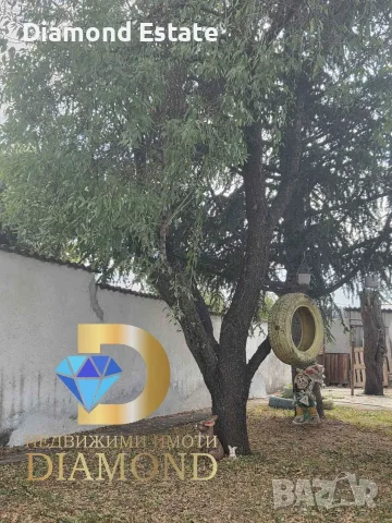 Едноетажна къща в село Странско, общ. Димитровград, снимка 4 - Къщи - 56164644