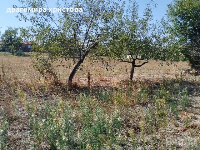 Къща с двор в с.Кабиле, снимка 5 - Къщи - 51869216