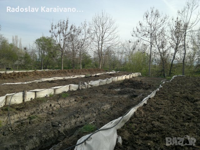 Биотор Биохумус от калифорнииски червеи., снимка 11 - Тор и почвени смеси - 31715952