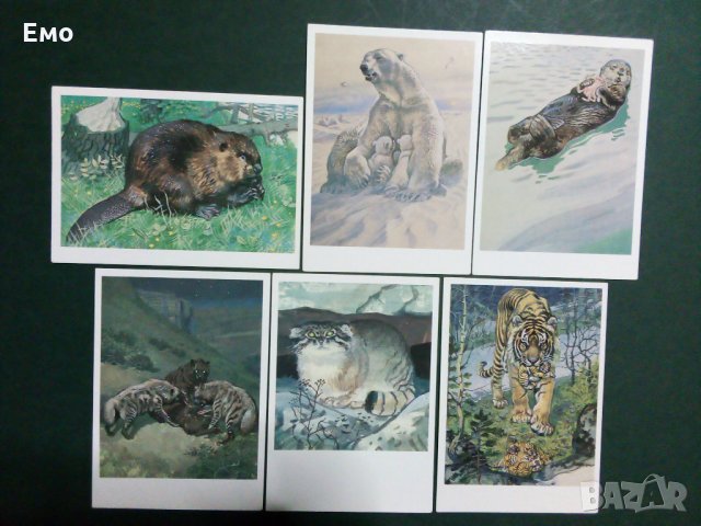 За Ценители и Колекционери! Изключително редки и отлично запазени руски комплекти картички(3)!, снимка 3 - Колекции - 31367025