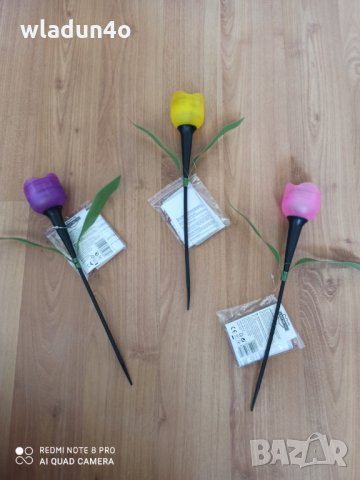 Соларни ПЕПЕРУДИ,КОЛИБРИ.Лалета-8лв/9лв/10лв, снимка 12 - Градински цветя и растения - 14365224