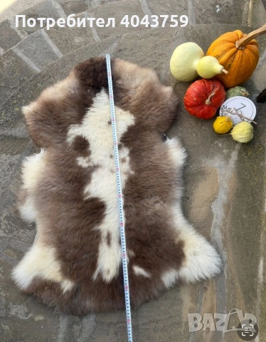 Агнешка кожа в различни разцветки