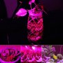  Растеж на растенията LED плочка за монтаж фито лампа 10 вата 20 вата 30 вата 50 вата 220 волта, снимка 17