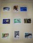 FLORA FAUNA POSTAGE STAMPS OF THE USSR , снимка 4