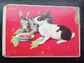 Детска книжка - "Наши домашни животни", снимка 2