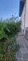 Продавам къща в село Строево, снимка 4