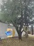 Едноетажна къща в село Странско, общ. Димитровград, снимка 4