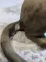 Фигури за декорация Котки, снимка 6