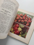 Руска готварска книга 1961г, снимка 3