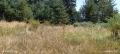 Продавам парцел на Пампорово - Поповото.🌲, снимка 8