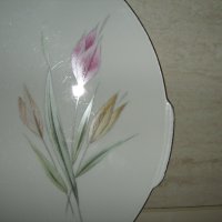 * Winterling * - Bavaria - старинна тортена чиния !, снимка 2 - Антикварни и старинни предмети - 32202878