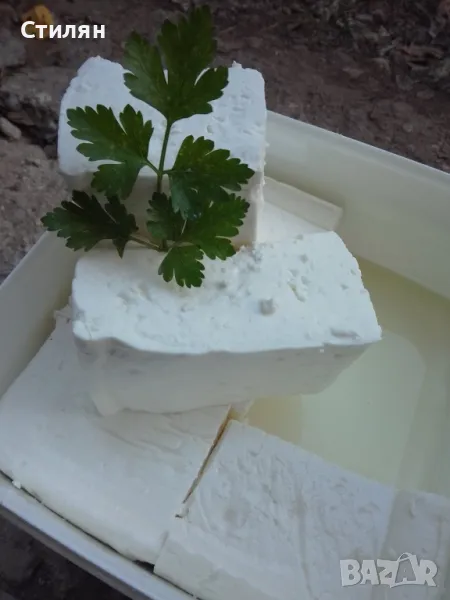 Домашно козе сирене, снимка 1