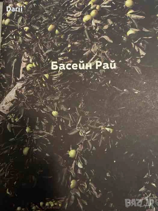 Басейн рай- Яна Лозева, снимка 1
