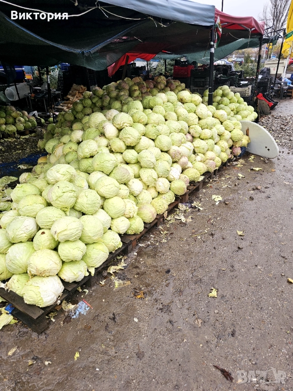 ПРОМОЦИЯ ЗЕЛЕ КЬОСЕ, снимка 1