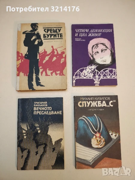 Срещу бурите - Елисавета Драбкина, снимка 1