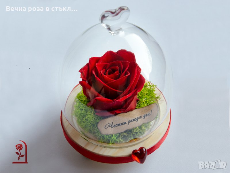 Подарък за рожден ден / Естествена Вечна Роза в Стъкленица / Уникален Подарък за Жена, снимка 1