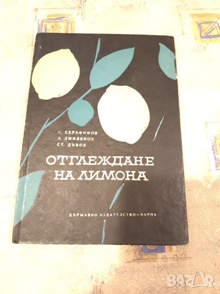 Отглеждане на лимона, снимка 1