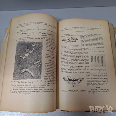 "Складови насекоми в България и борбата с тях" 1939 г, снимка 4 - Други - 42908074