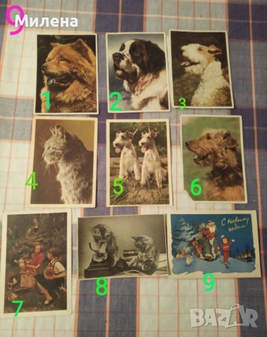 Ретро картички, снимка 9 - Други - 54283054