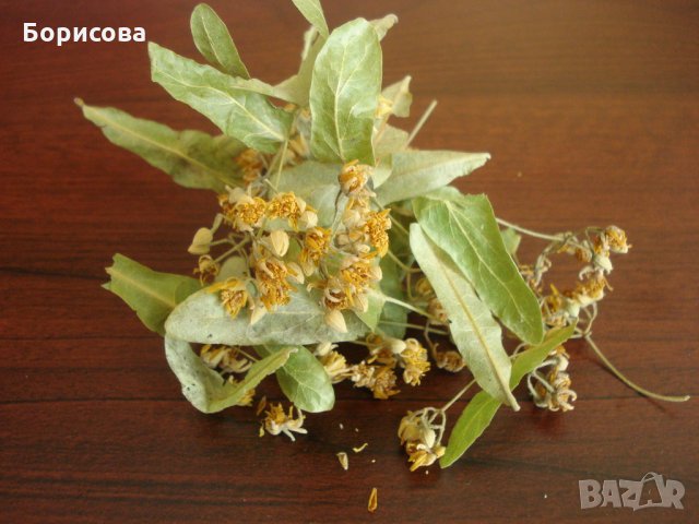 Продавам липов цвят, снимка 3 - Хранителни добавки - 32094930