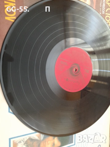 Грамофонни плочи, снимка 3 - Грамофонни плочи - 53211518