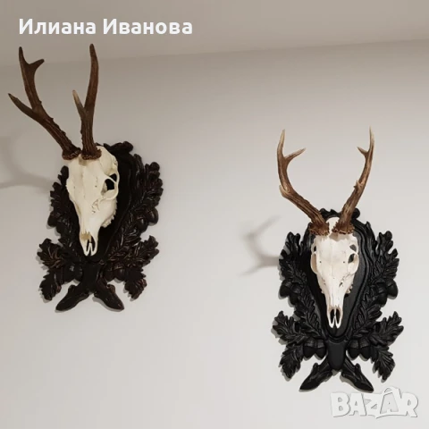 Поставки за ловни трофеи, снимка 10 - Картини - 12206704