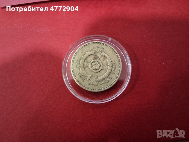 Рядък One Pound 2001 с Грешка , снимка 5 - Нумизматика и бонистика - 54286069